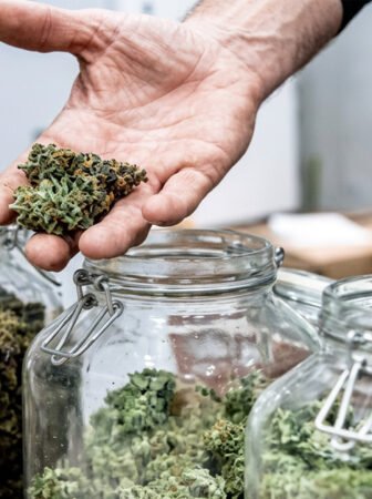 Illegal cannabis trade operating under the guise of street vending busted; police seized 100 kg of cannabis hidden inside blankets and arrested three accused.