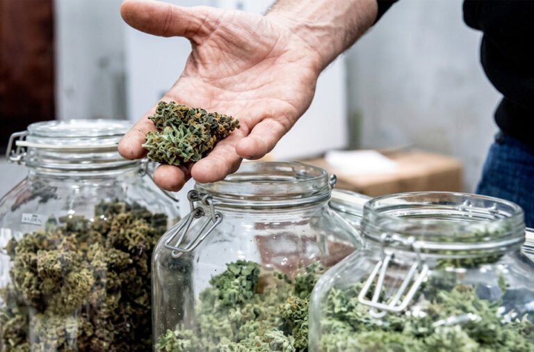 Illegal cannabis trade operating under the guise of street vending busted; police seized 100 kg of cannabis hidden inside blankets and arrested three accused.