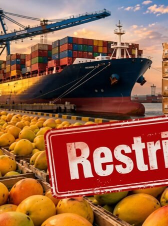 Nepal imposes restrictions on mango imports from India, following a similar move by Japan. 🥭🚫🌏📦
