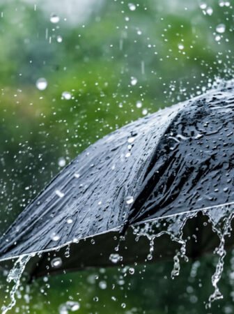 Monsoon arrives in Odisha, bringing much-awaited rainfall across parts of the state.