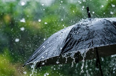Monsoon arrives in Odisha, bringing much-awaited rainfall across parts of the state.