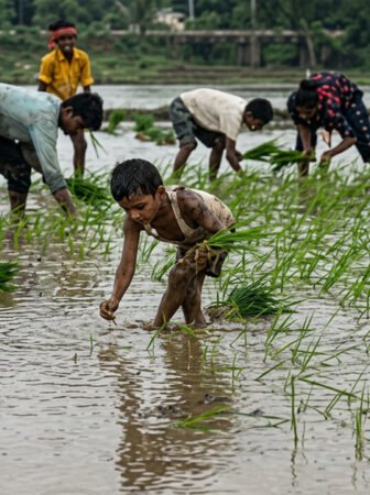 Monsoon weakens across the country, leading to a serious situation with rainfall reportedly 40% below normal; farmers are worried about the impact on Kharif cultivation. 🌧️📉🌾🚜⚠️