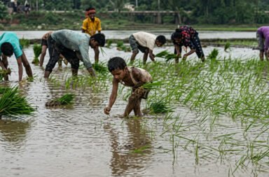 Monsoon weakens across the country, leading to a serious situation with rainfall reportedly 40% below normal; farmers are worried about the impact on Kharif cultivation. 🌧️📉🌾🚜⚠️