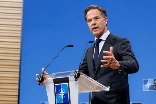 NATO NEWS