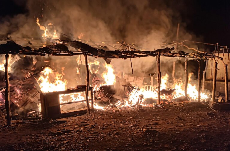 A suspected short circuit triggered a fire at a paddy procurement mandi, destroying around 115 quintals of paddy and causing significant losses.