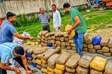 **503 kg of ganja seized; 2 accused arrested.**