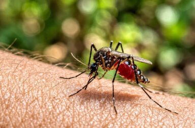 **Another death due to malaria; two residential school students have died within a week. Mosquito infestation is increasing.**