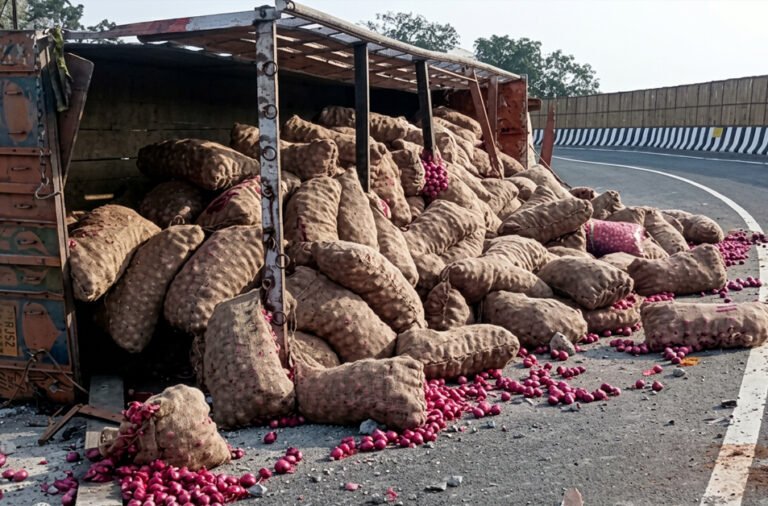 **Onion-laden truck overturned; people carried away onions from the road.**
