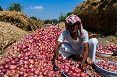 **Onions are making people cry! Price increased by ₹1,500 per quintal.**