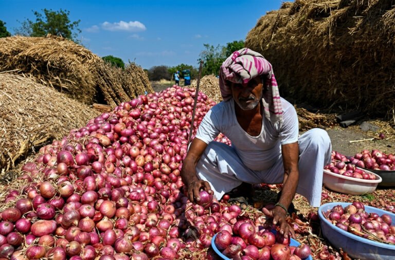 **Onions are making people cry! Price increased by ₹1,500 per quintal.**