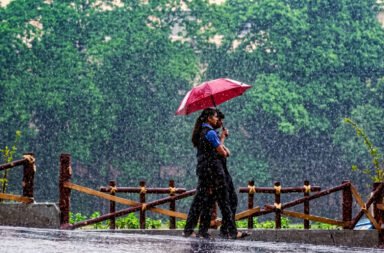 Heavy rainfall triggered by a low-pressure system has disrupted normal life, with eight districts receiving heavy rain and five districts witnessing extremely heavy rainfall. Sohela in Bargarh recorded the highest rainfall at 202 mm, while the collapse of a bridge has snapped road connectivity between Kantamal and Shagada