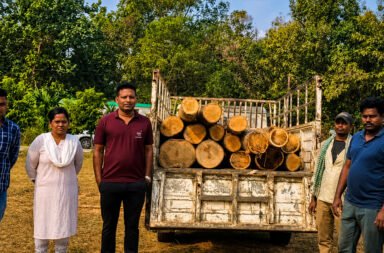 **Valuable Sissoo timber seized from a pickup van.**