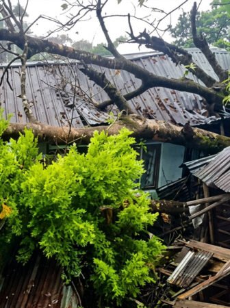 Continuous rainfall caused a tree to collapse onto a house, damaging the structure. The Tahsildar visited the affected family and provided tarpaulin sheets as immediate relief.