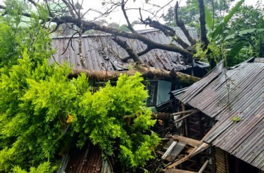 Continuous rainfall caused a tree to collapse onto a house, damaging the structure. The Tahsildar visited the affected family and provided tarpaulin sheets as immediate relief.