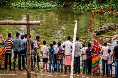 Crocodile scare in Malkangiri’s MV-104; over 100 ducks reportedly devoured.