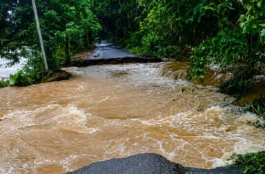 Flood situation in the state: All breached embankments to be repaired within seven days.