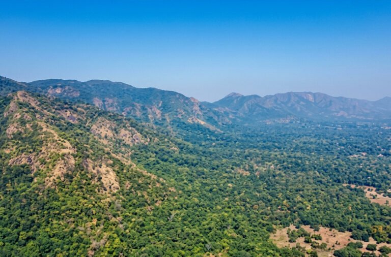 Gandhamardan biodiversity under threat; concerns grow over mining activities. Focus intensifies on balancing development with the protection of natural heritage.