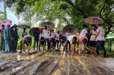 ₹56 lakh road washed away; villagers plant paddy in the mud as a protest.