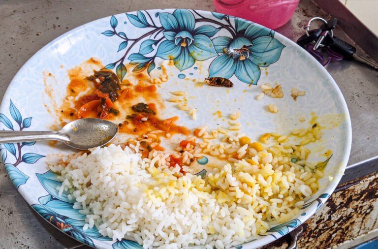 Worm found in food served to patients!