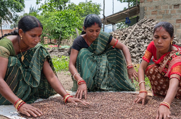 Black rice empowers tribal women; sold at ₹100 per kilogram.