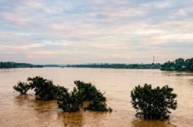 Flood havoc returns to Jajpur.
