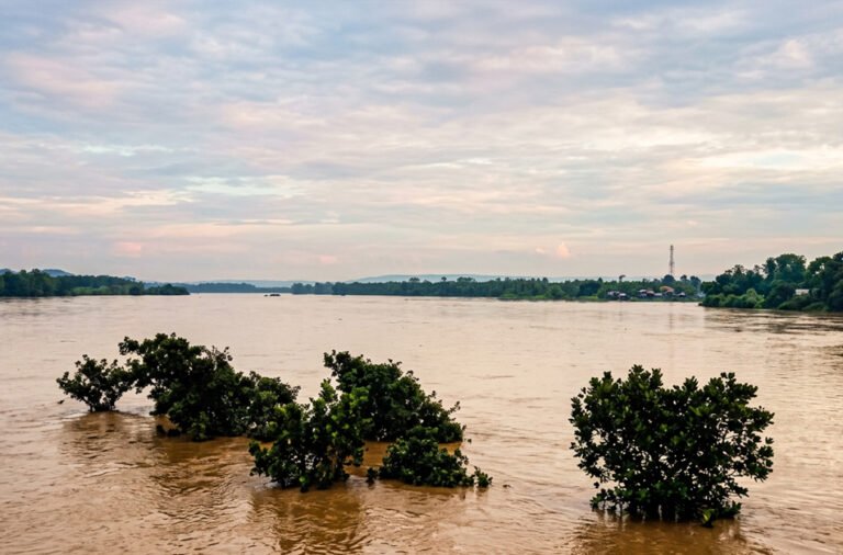 Flood havoc returns to Jajpur.