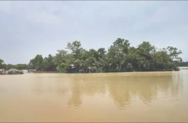 Flood