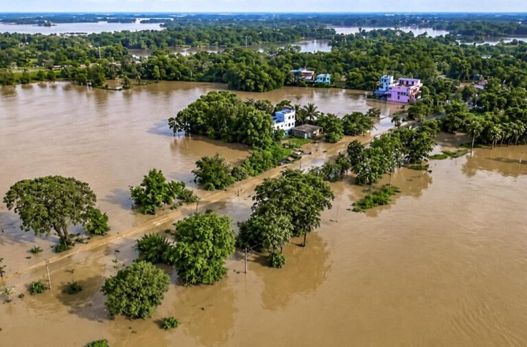 Flood