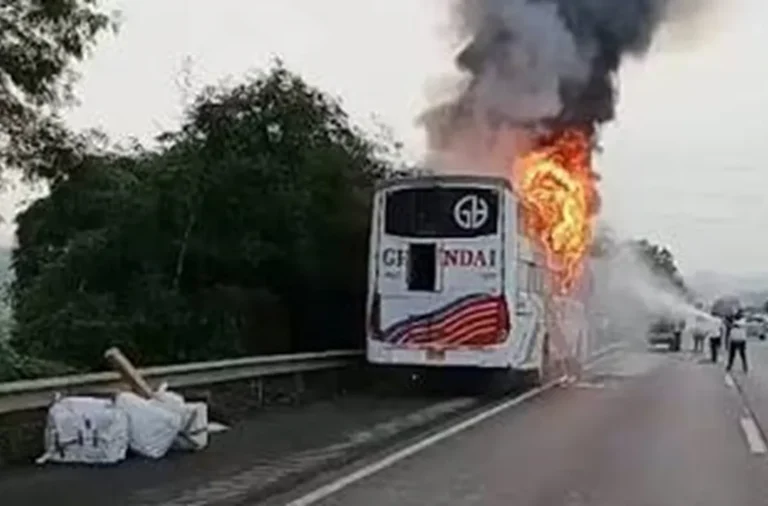 Yamuna Expressway Bus Fire