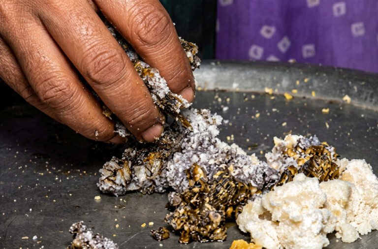 Adulterated paneer racket: FIR filed against 11 people.