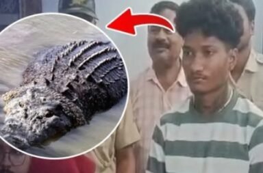Odisha News
