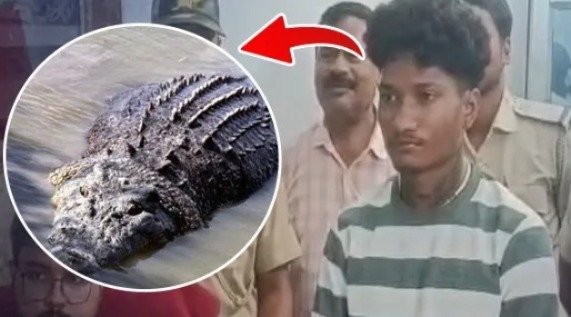 Odisha News