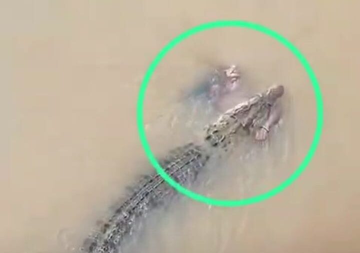 Mahakalapada Crocodile Attack Odisha