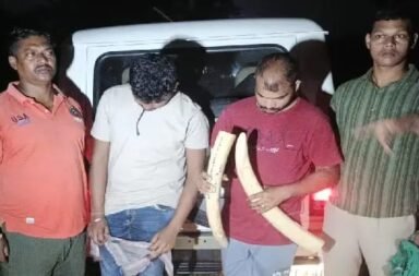 Odisha Wildlife Crime