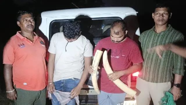 Odisha Wildlife Crime