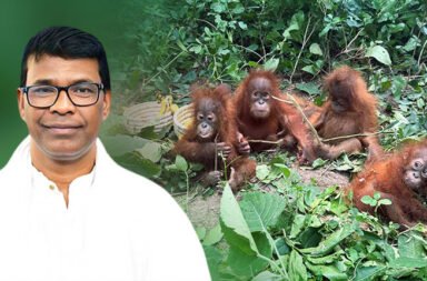 Orangutan Investigation Odisha