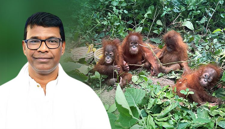 Orangutan Investigation Odisha