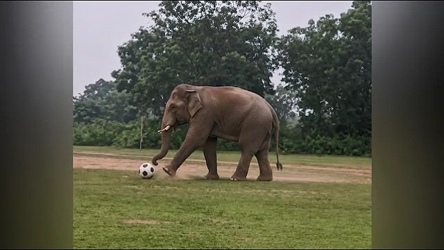 Odisha News