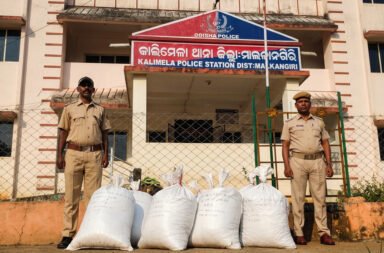 300 kg of cannabis seized from forest; interstate cannabis mafia link suspected.