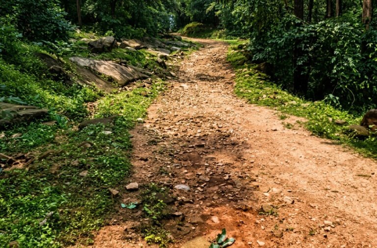 Village school remains locked for 17 years; difficult roads and inaccessible healthcare add to residents’ woes.