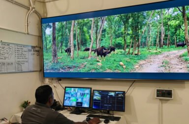 AI cameras to monitor Debrigarh; 18 smart trap cameras and AI towers to track wildlife. Make the wildlife headline more conciseAdd the purpose of AI monitoring